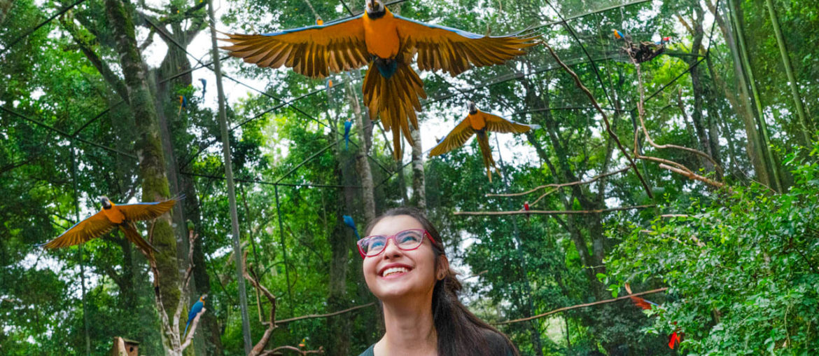 Iguazu Birds Park: Guide by Locals Arara voando acima cabeça mulher