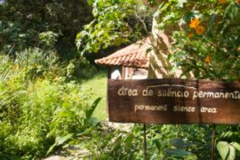 Vipassana: How Meditating for 10 Days Has Changed My Life