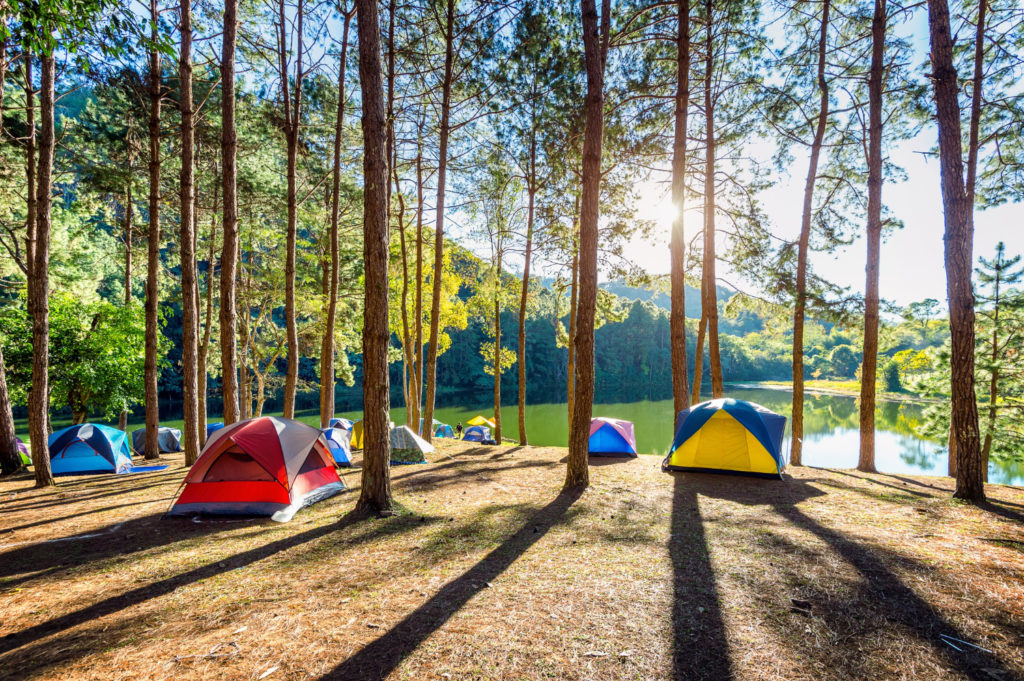 barracas de camping em acampamento